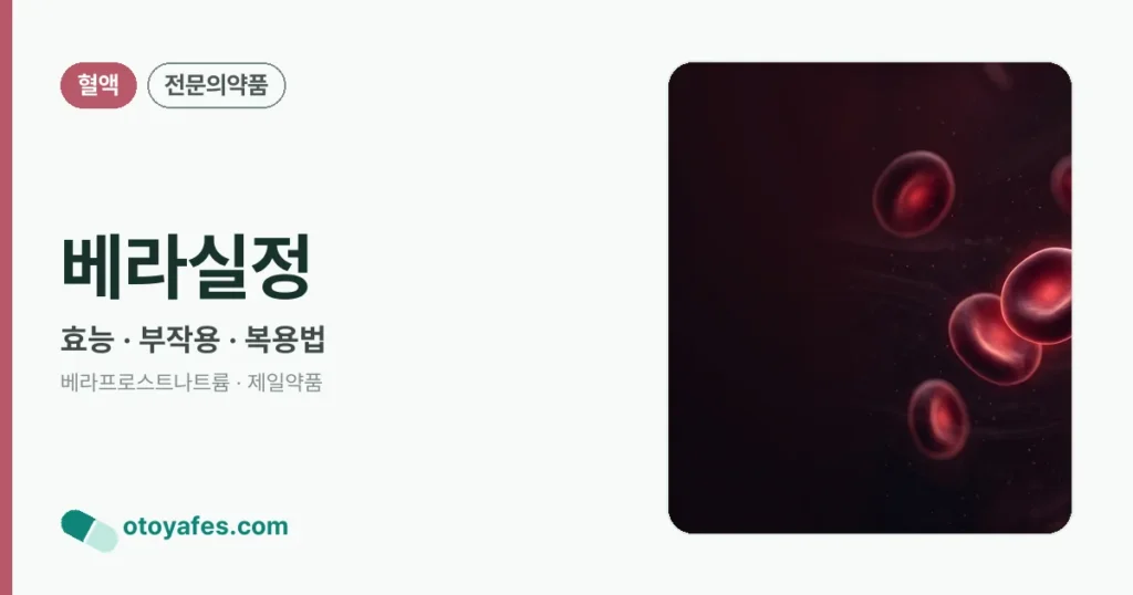 베라실정 정리 썸네일