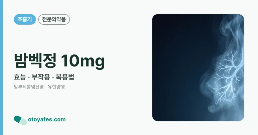 밤벡정 10mg 정리 썸네일