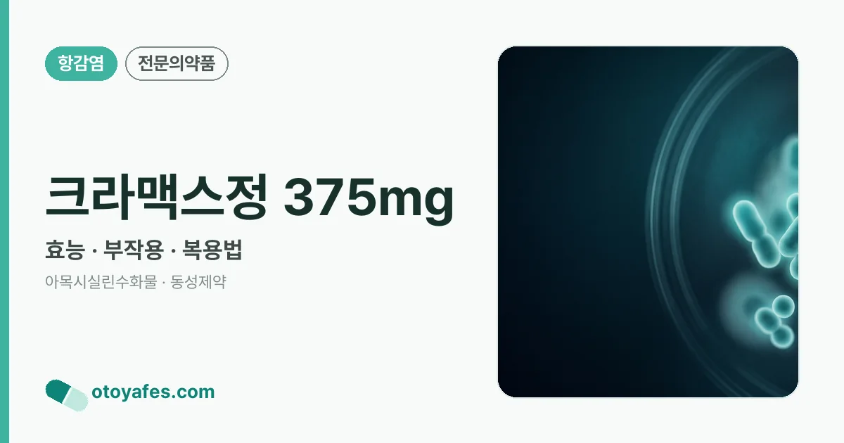 크라맥스정 375mg 정리 썸네일