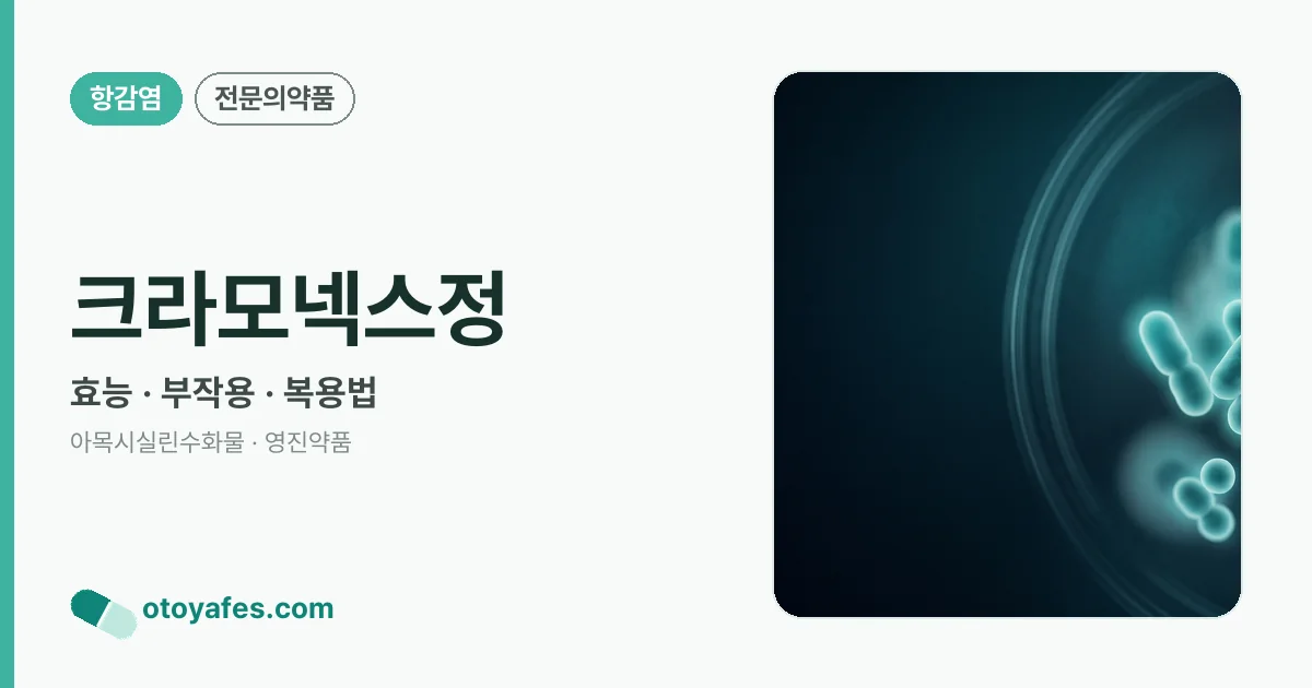 크라모넥스정 정리 썸네일