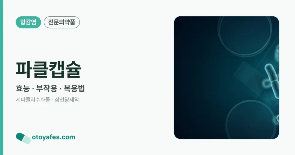 파클캡슐 정리 썸네일