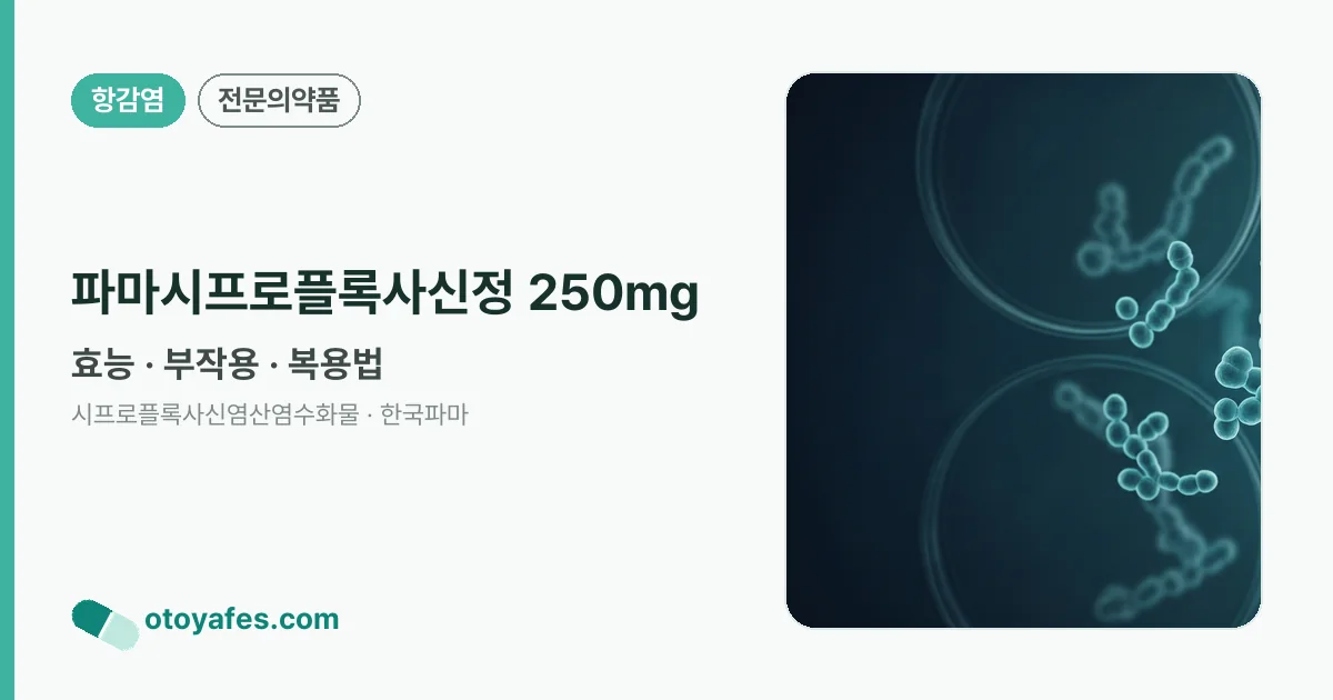 파마시프로플록사신정 250mg 정리 썸네일