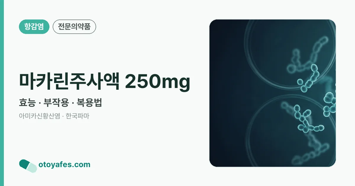 마카린주사액 250mg 정리 썸네일