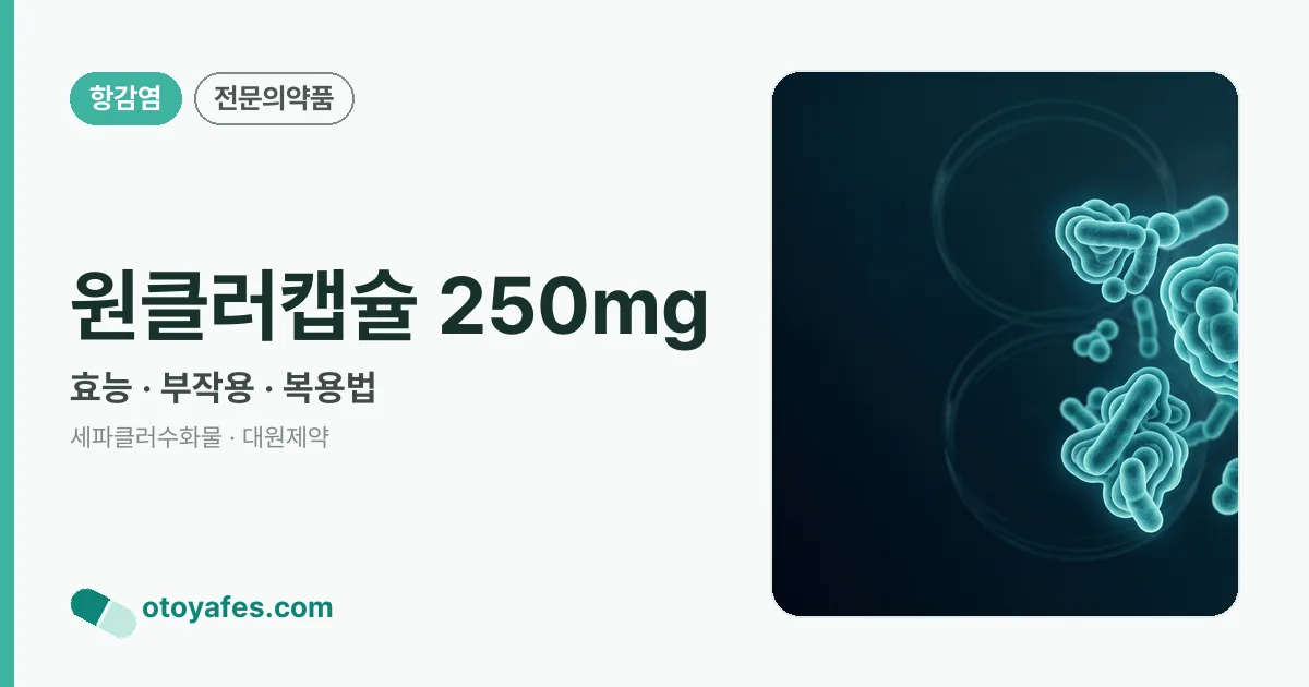 원클러캡슐 250mg 정리 썸네일