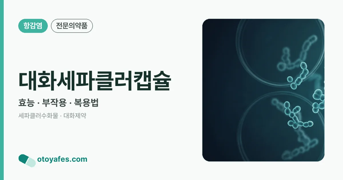 대화세파클러캡슐 정리 썸네일