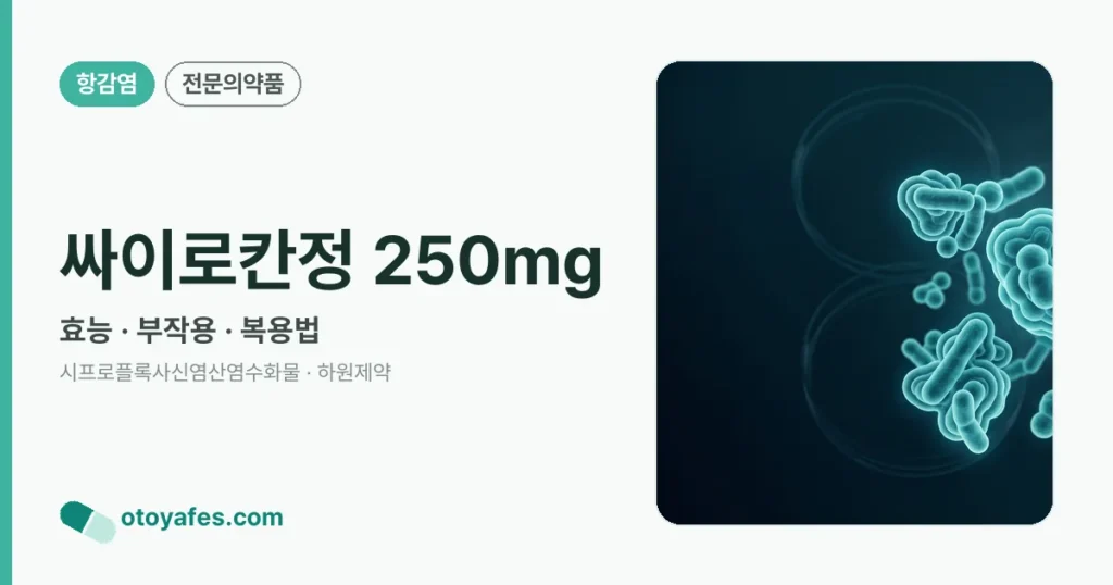 싸이로칸정 250mg 정리 썸네일
