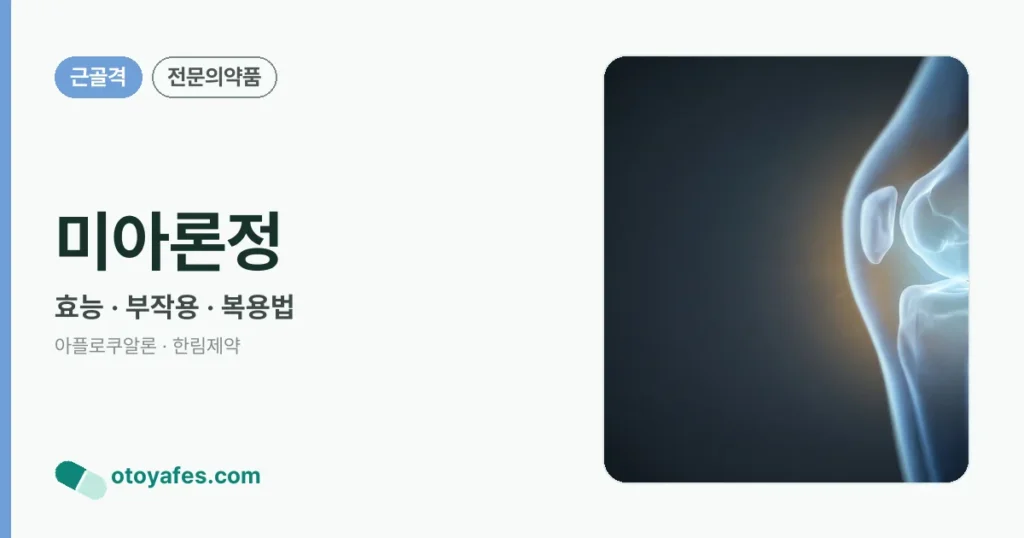 미아론정 정리 썸네일