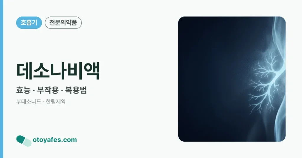 데소나비액 정리 썸네일
