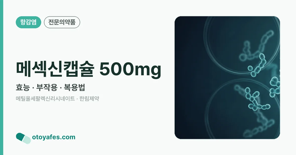 메섹신캡슐 500mg 정리 썸네일