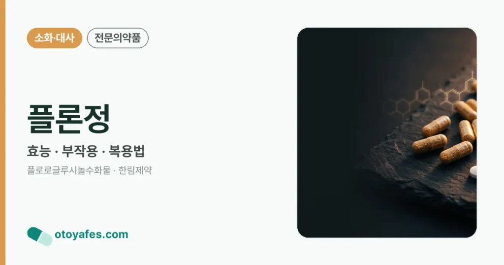 플론정 정리 썸네일