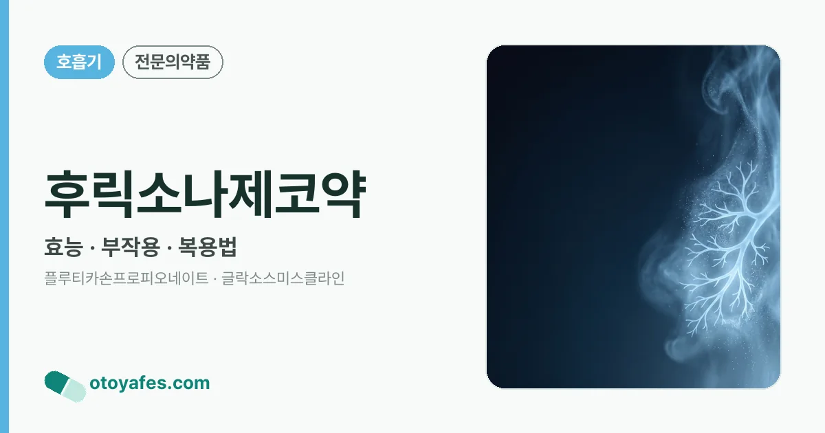 후릭소나제코약 정리 썸네일