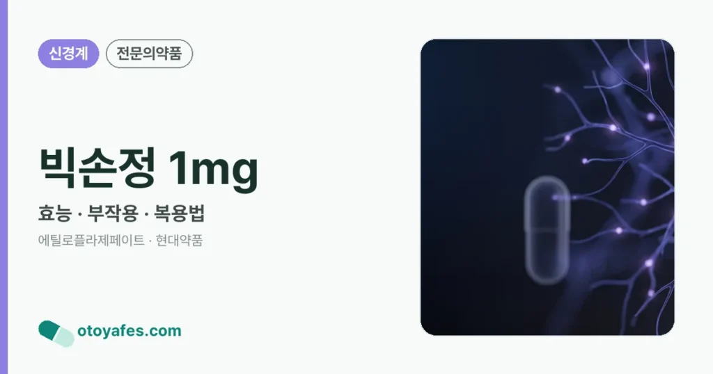 빅손정 1mg 정리 썸네일