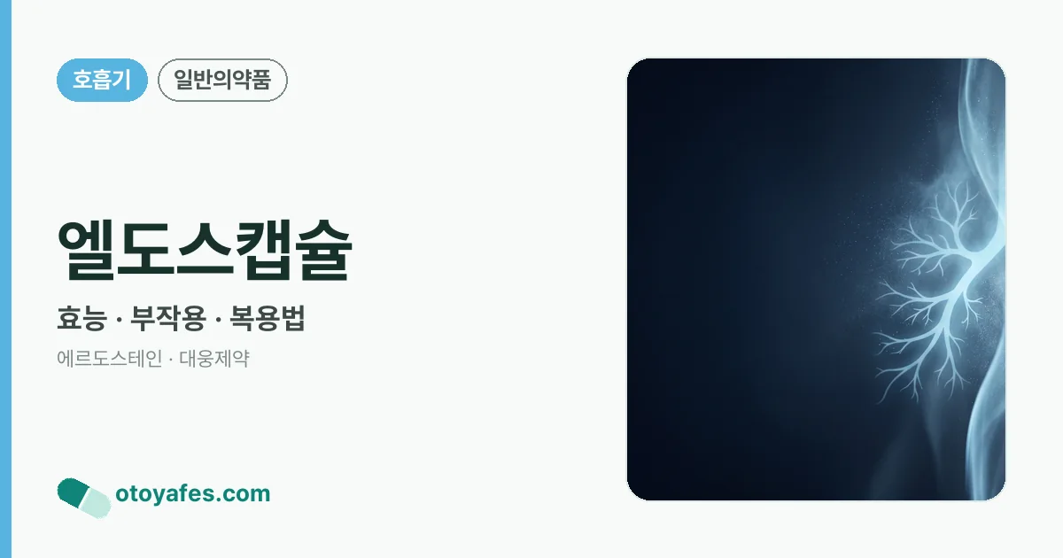 엘도스캡슐 정리 썸네일