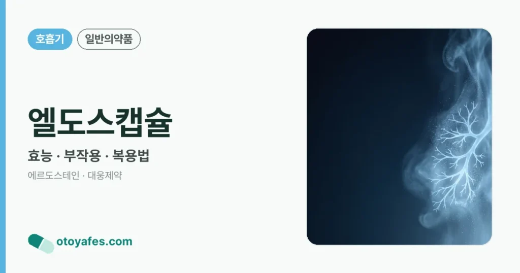 엘도스캡슐 정리 썸네일