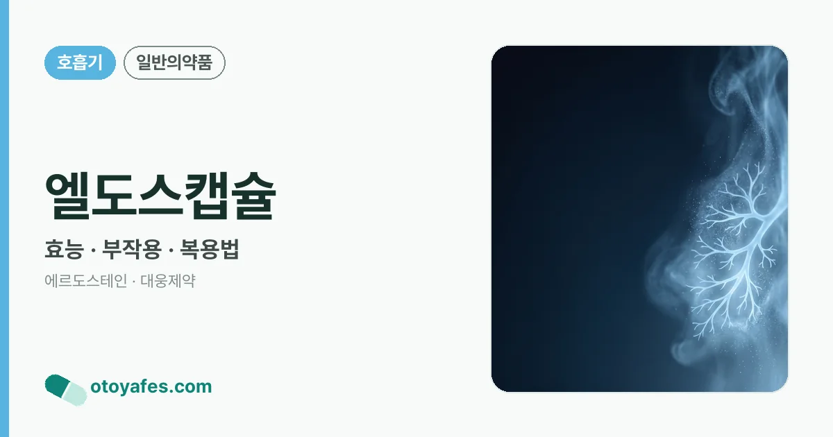 엘도스캡슐 정리 썸네일