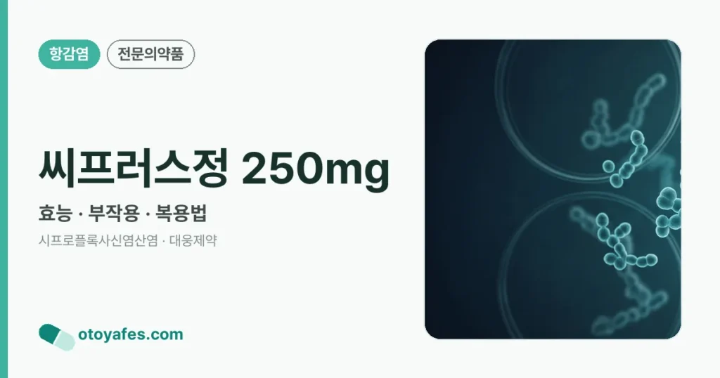 씨프러스정 250mg 정리 썸네일