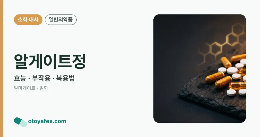 알게이트정 정리 썸네일