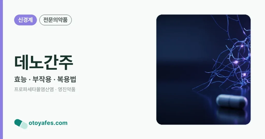 데노간주 정리 썸네일