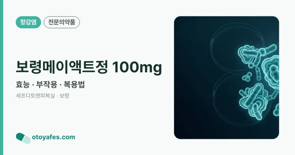 보령메이액트정 100mg 정리 썸네일