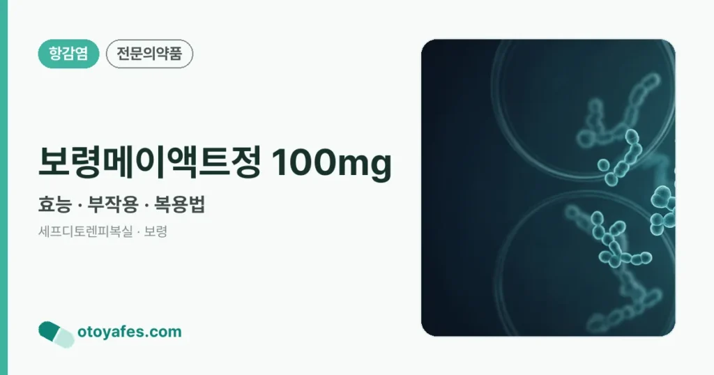 보령메이액트정 100mg 정리 썸네일