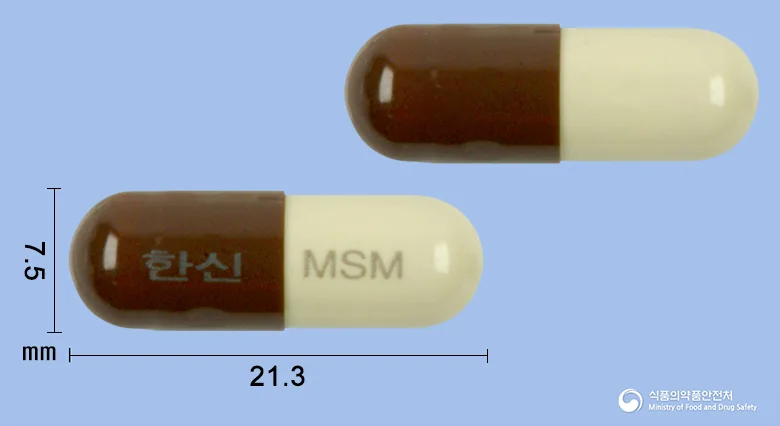 메시마캡슐 실물 사진