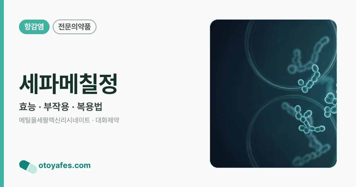 세파메칠정 정리 썸네일