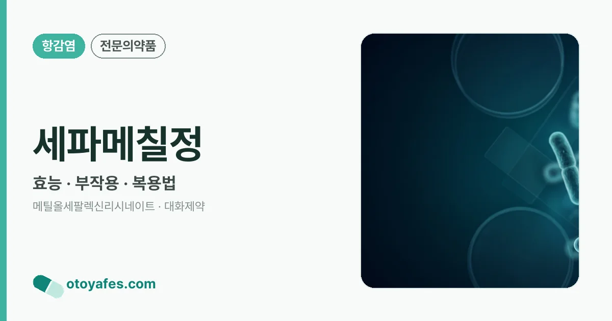 세파메칠정 정리 썸네일