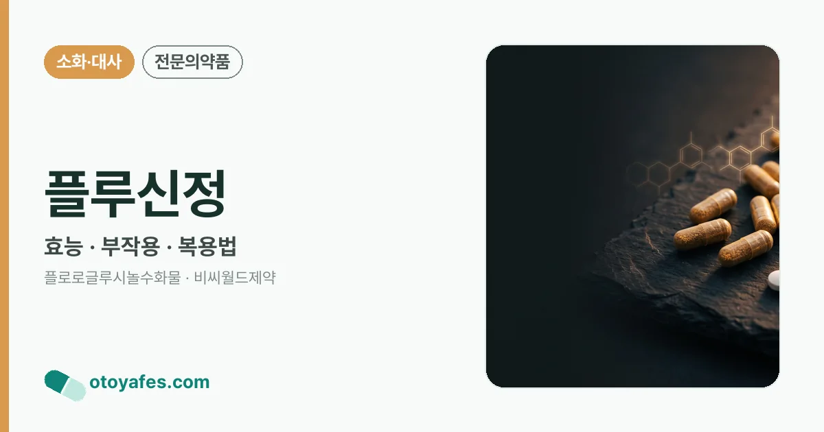 플루신정 정리 썸네일