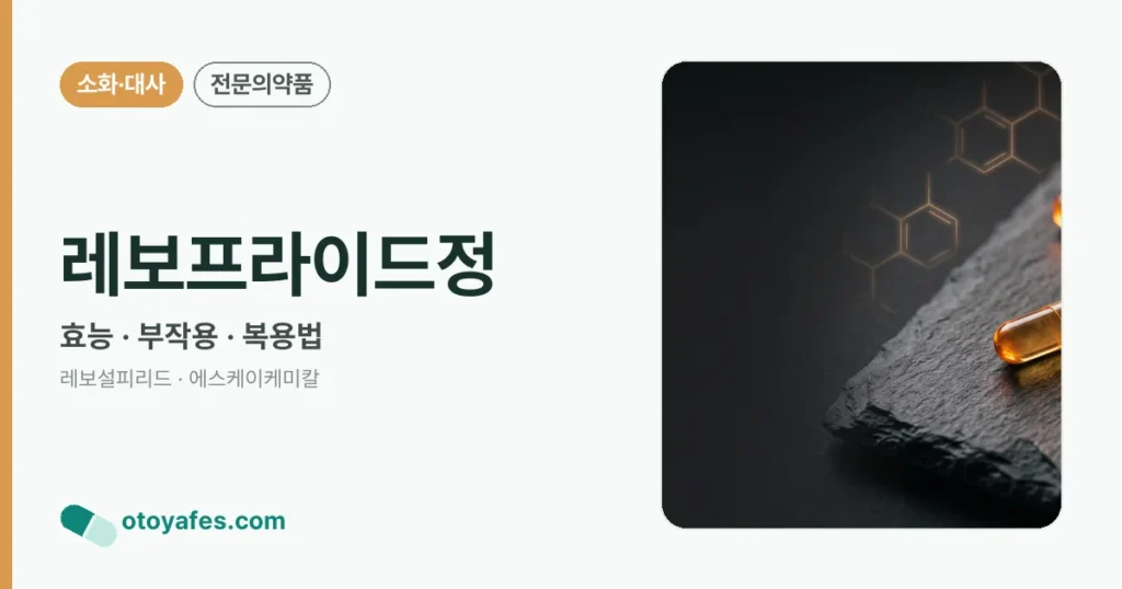 레보프라이드정 정리 썸네일