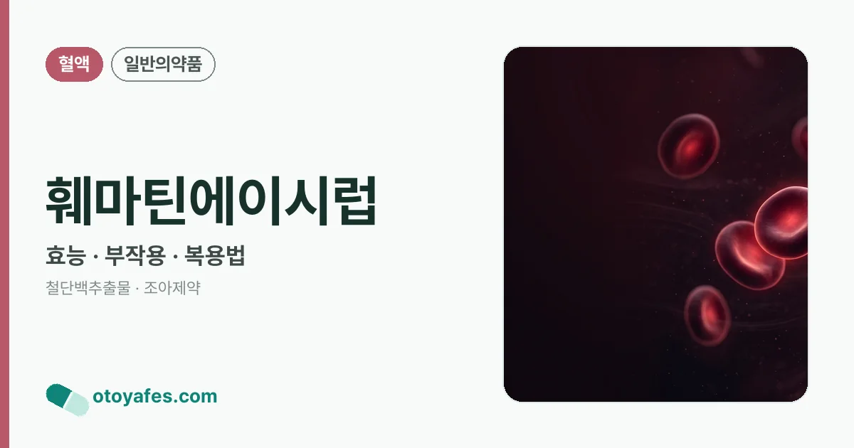 훼마틴에이시럽 정리 썸네일
