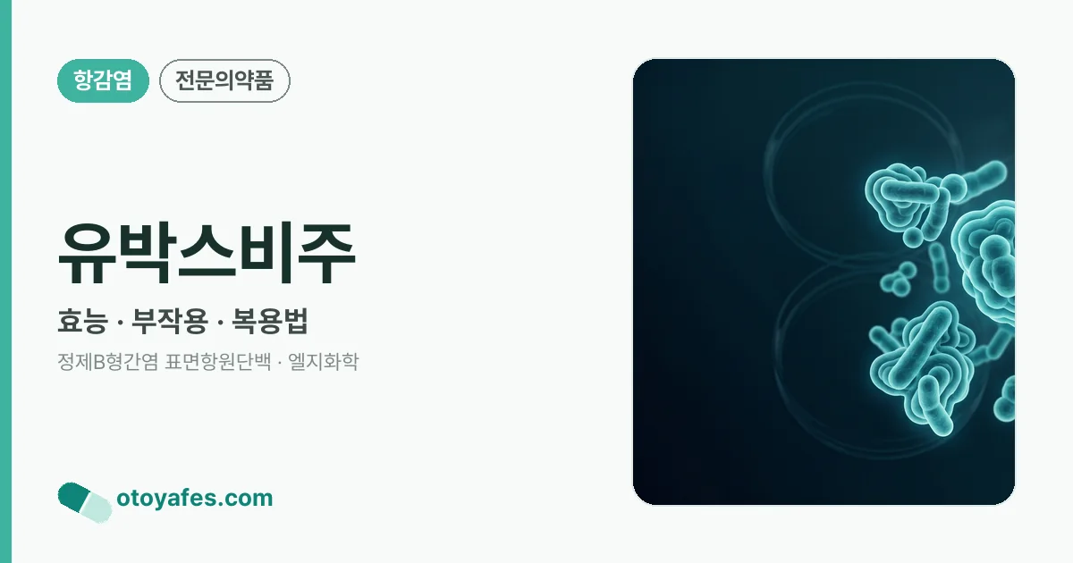 유박스비주 정리 썸네일