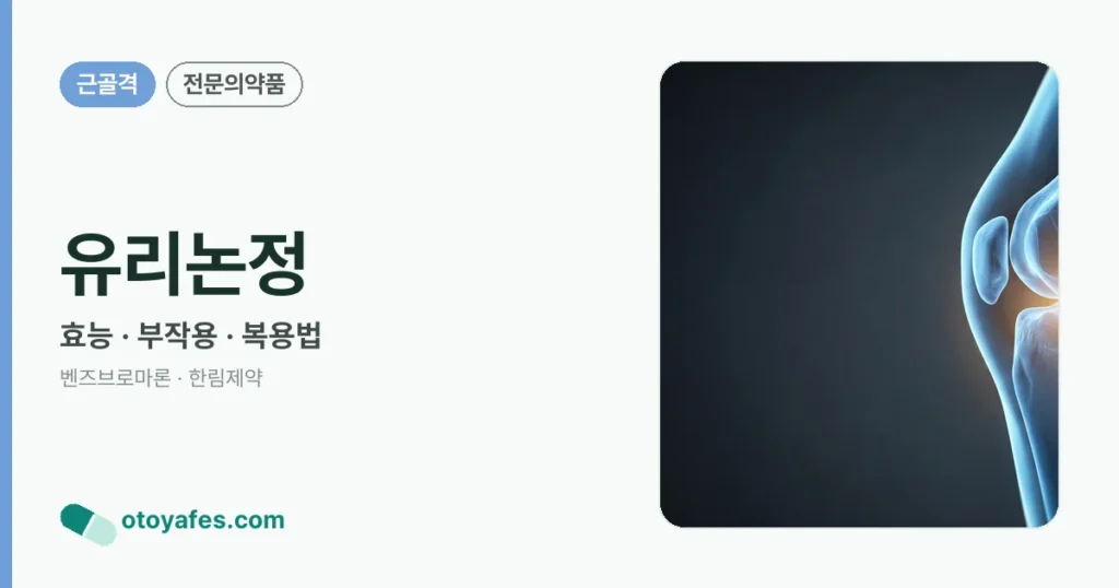 유리논정 정리 썸네일