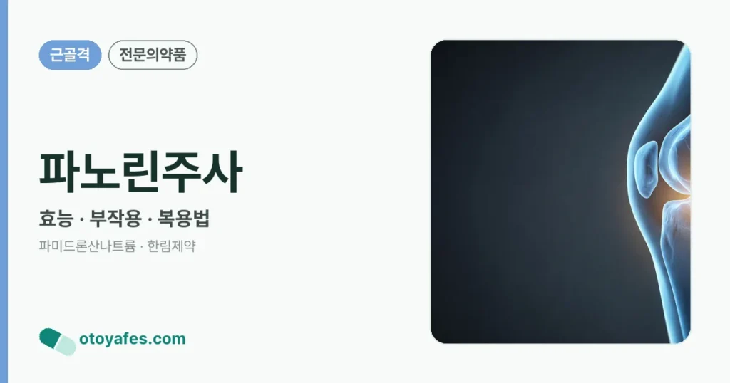 파노린주사 정리 썸네일