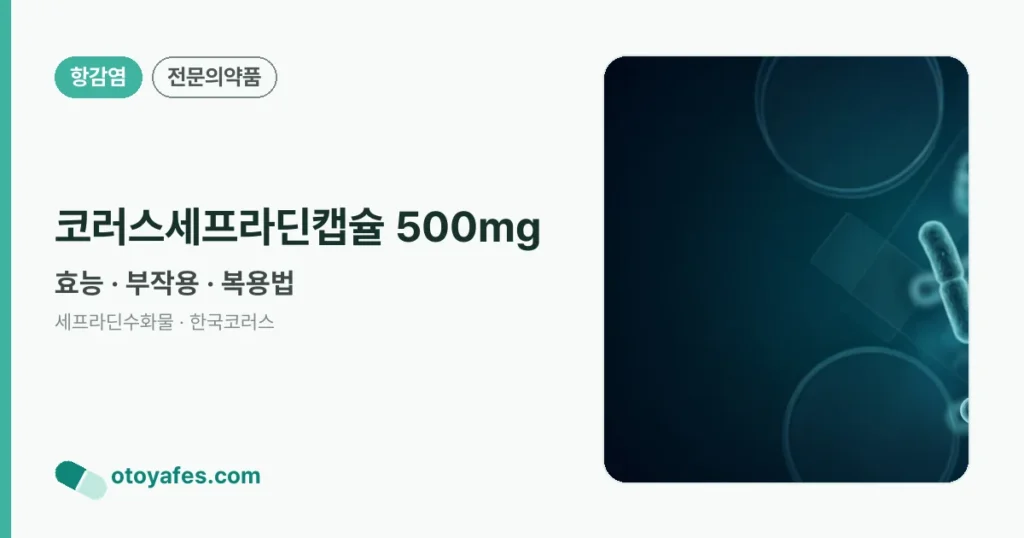 코러스세프라딘캡슐 500mg 정리 썸네일