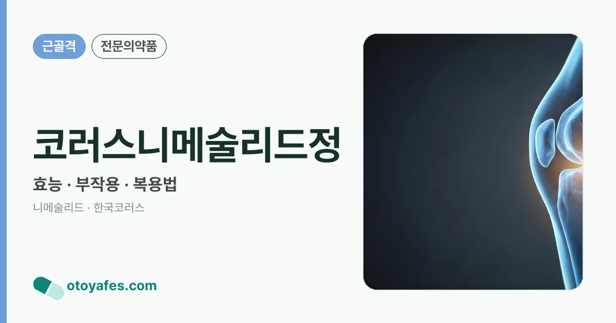 코러스니메술리드정 정리 썸네일