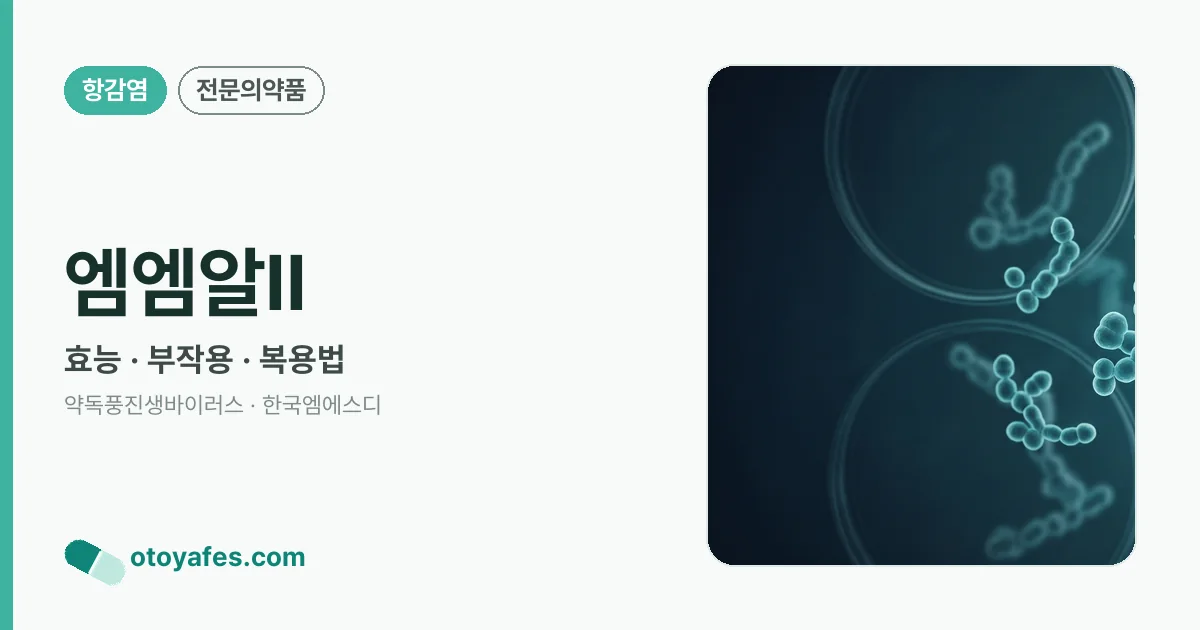 엠엠알II 정리 썸네일