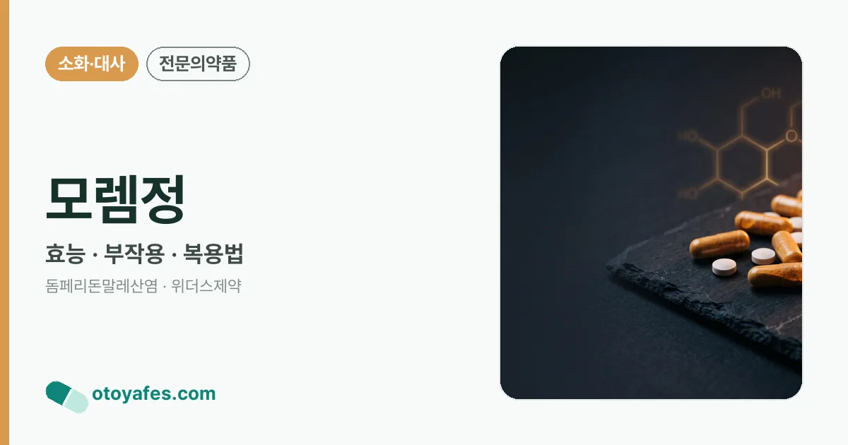 모렘정 정리 썸네일