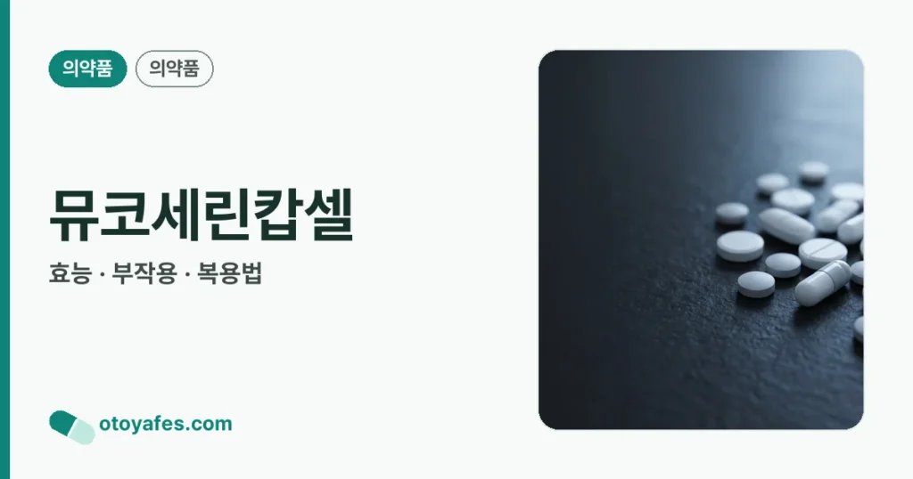 뮤코세린캅셀 정리 썸네일