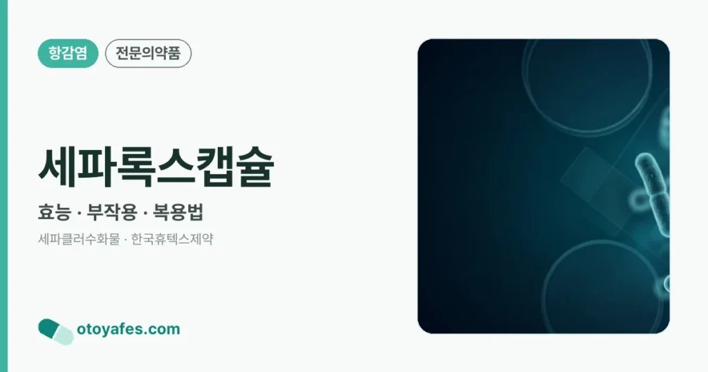 세파록스캡슐 정리 썸네일