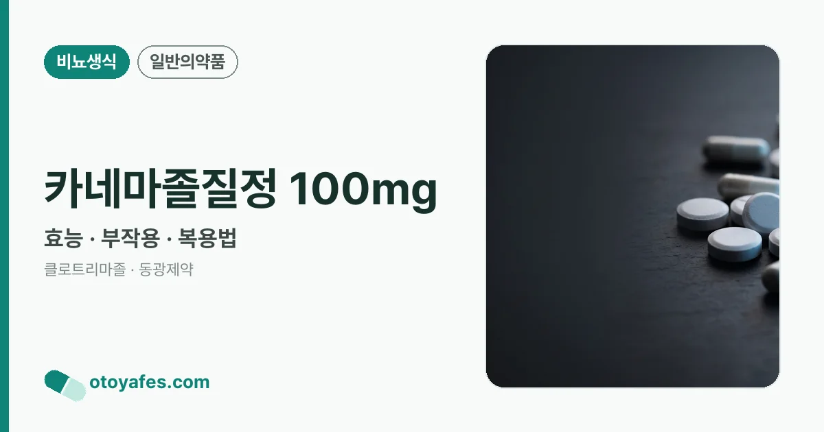 카네마졸질정 100mg 정리 썸네일