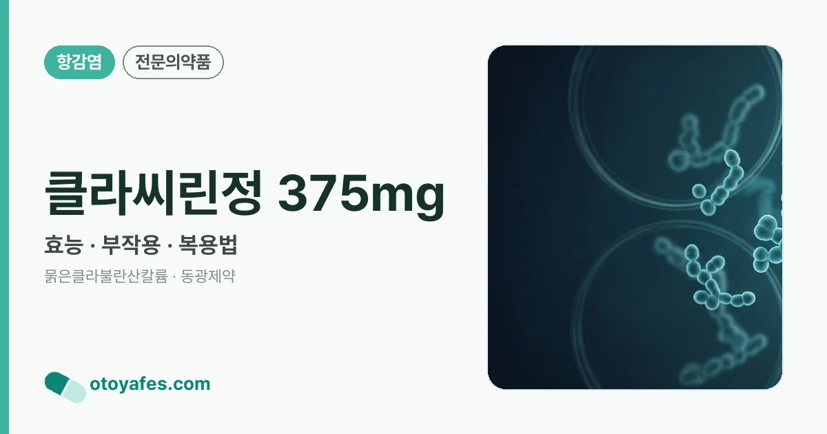 클라씨린정 375mg 정리 썸네일