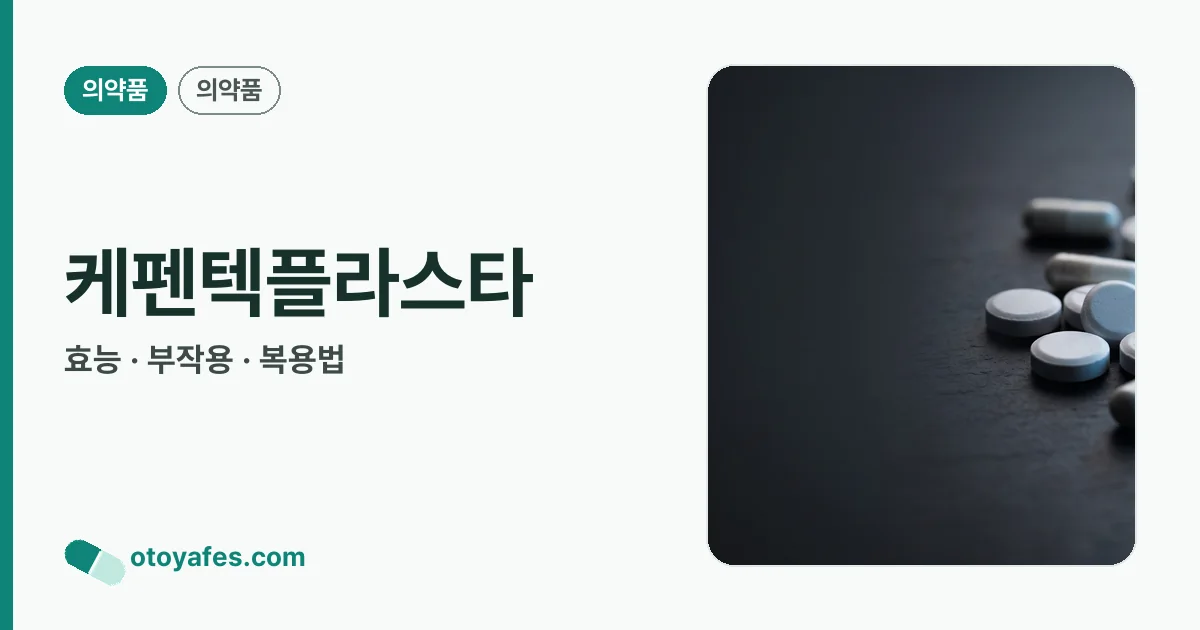 케펜텍플라스타 정리 썸네일