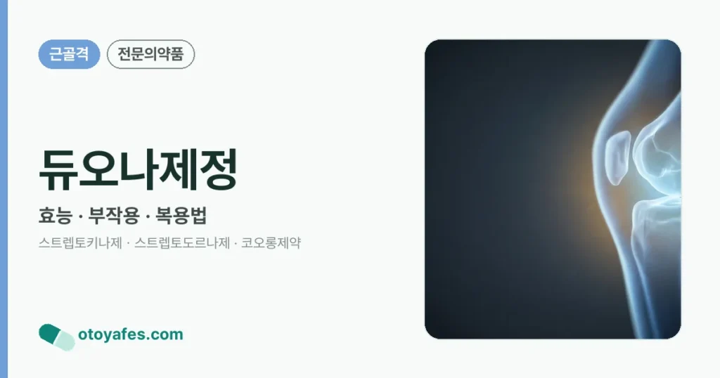 듀오나제정 정리 썸네일