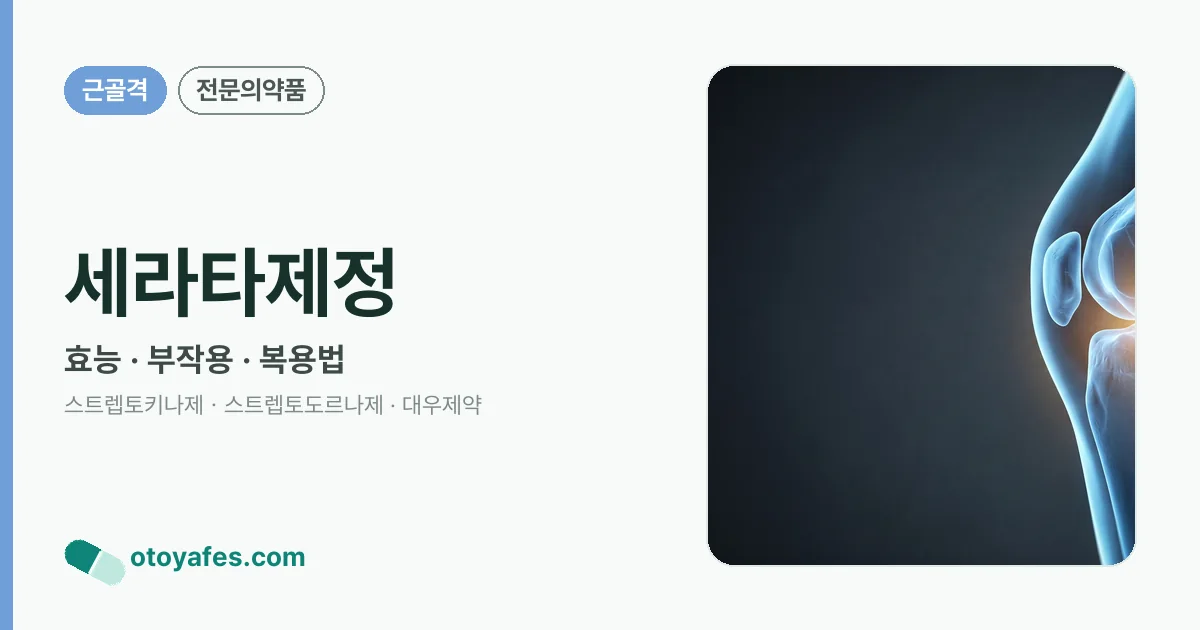 세라타제정 정리 썸네일
