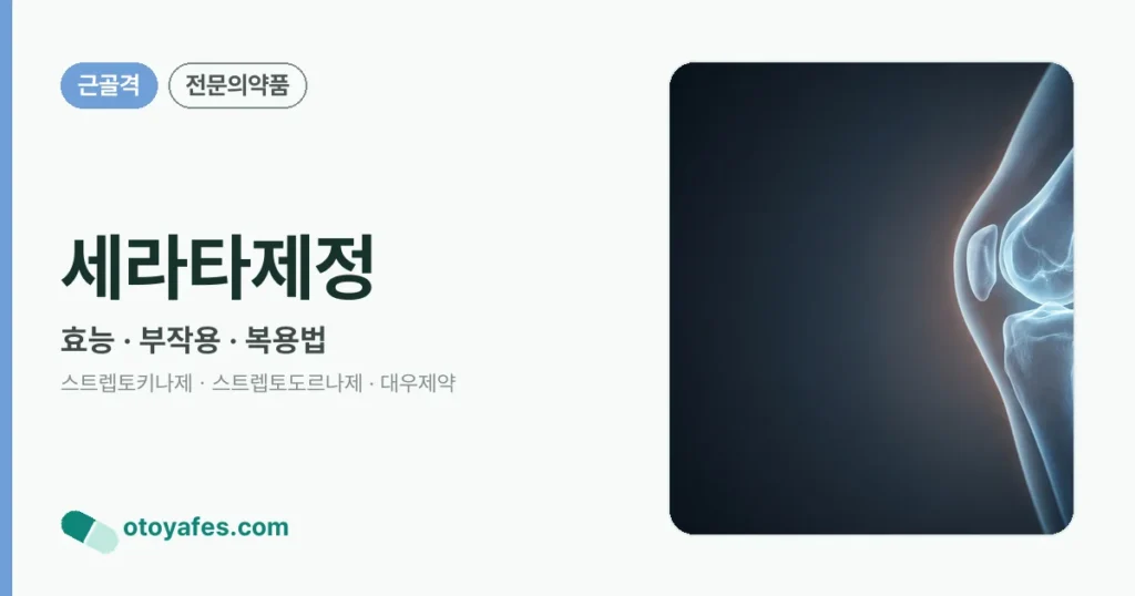 세라타제정 정리 썸네일