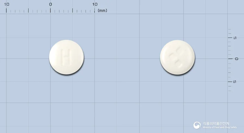 하이라제정 실물 사진