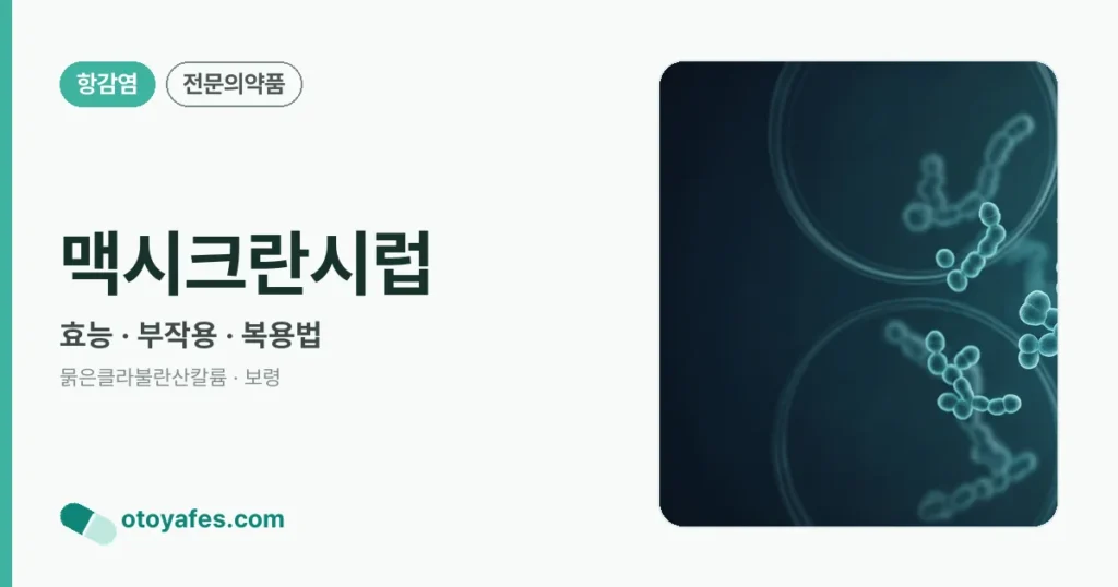 맥시크란시럽 정리 썸네일
