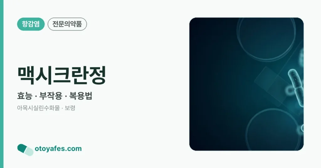 맥시크란정 정리 썸네일