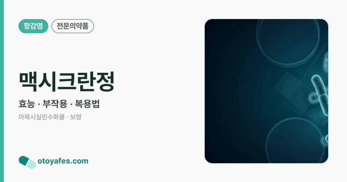 맥시크란정 정리 썸네일