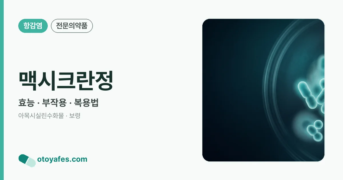 맥시크란정 정리 썸네일